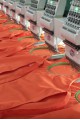 Broderies sur Vêtements de travail