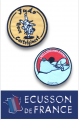Ecussons brodé à coudre JUDO club / association